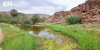 Salma Geopark Showcases Hail’s Geological Wonders and Historic Heritage